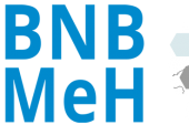 Logo des Bundesweiten Netzwerks - Beratung für Menschen mit erworbener Hirnschädigung